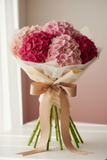 Hydrangea Pink